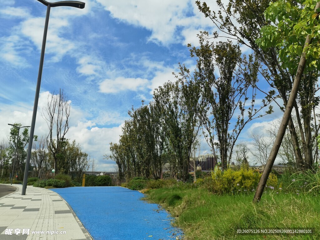 城市河畔清新風(fēng)景