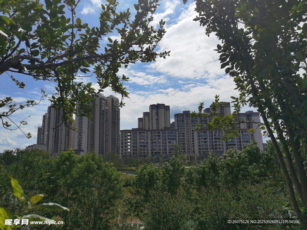 綠樹掩映下的城市建筑群