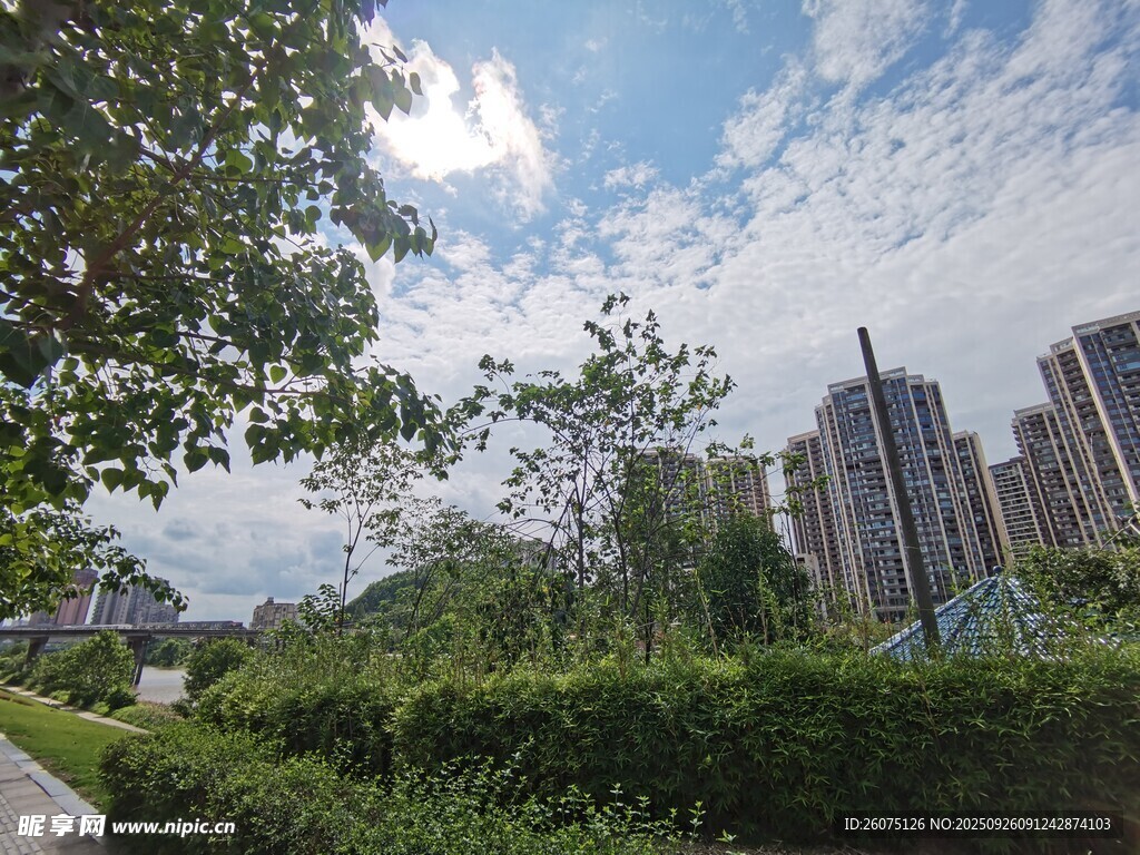 城市綠蔭下的清新景致