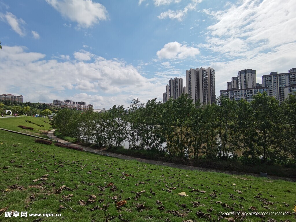 城市邊的綠地與高樓景觀