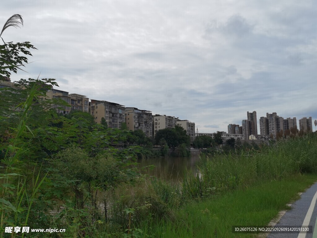 城郊道路旁的綠植與建筑