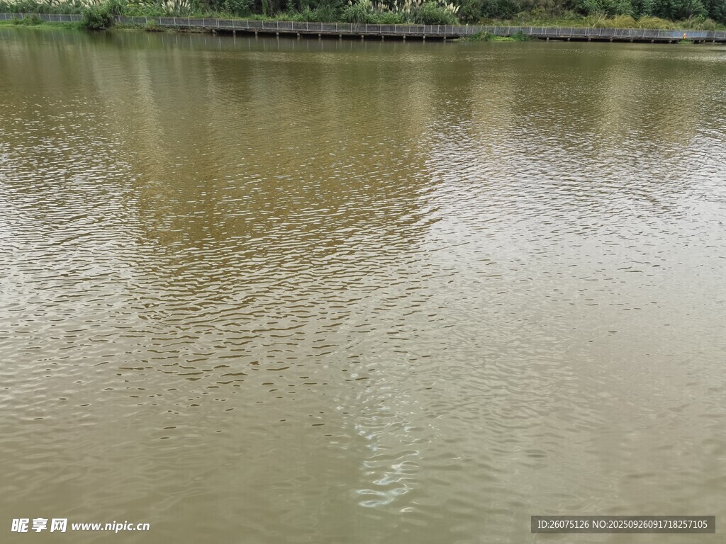 平靜湖水泛起細微漣漪