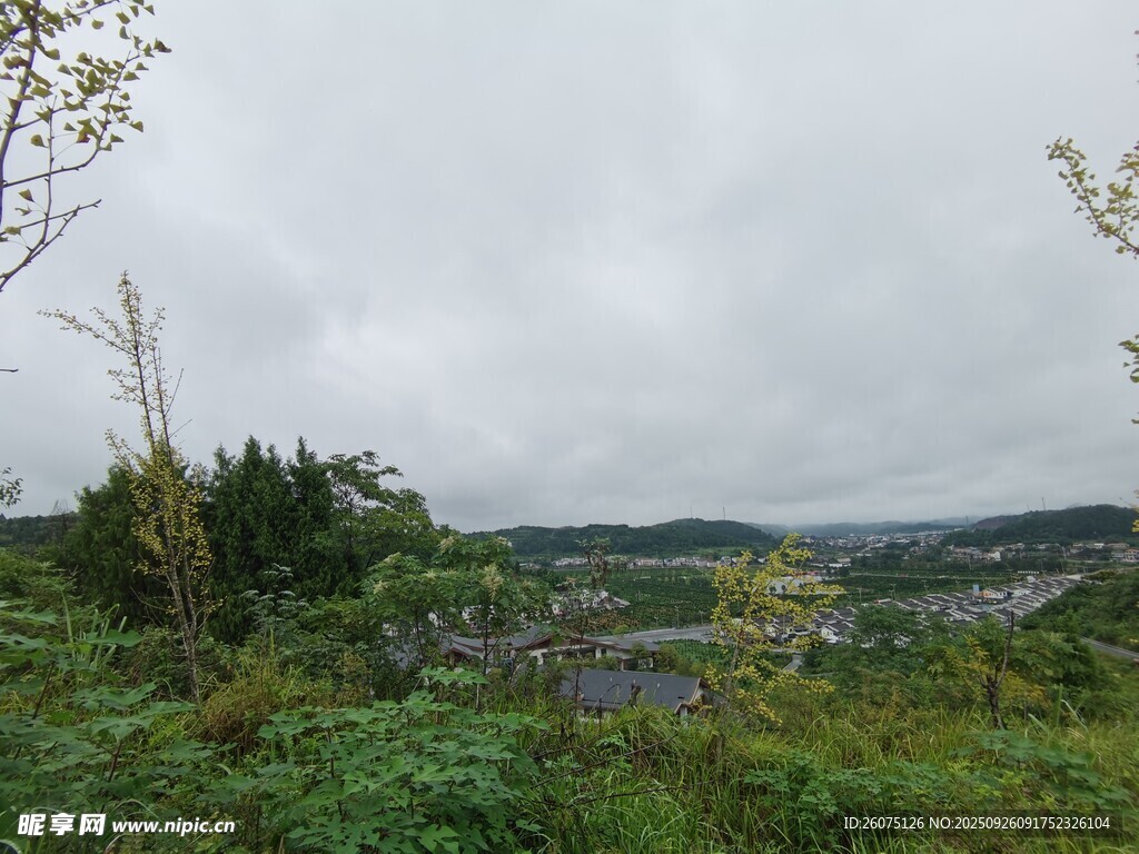山間綠野景色