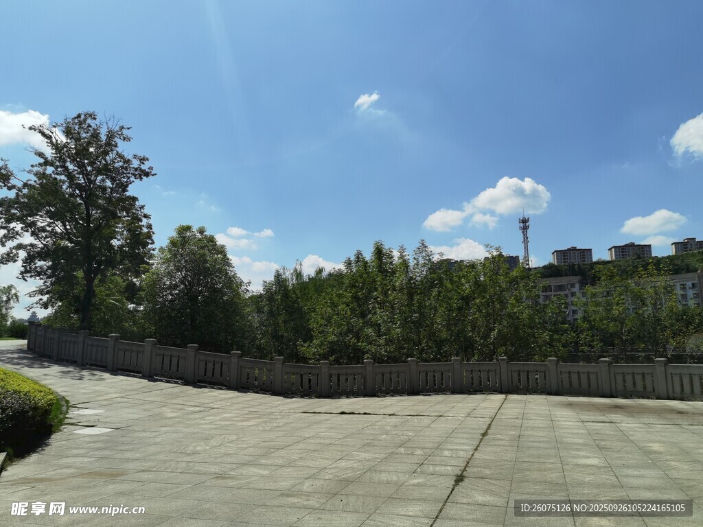 戶外開闊場地與綠植景觀
