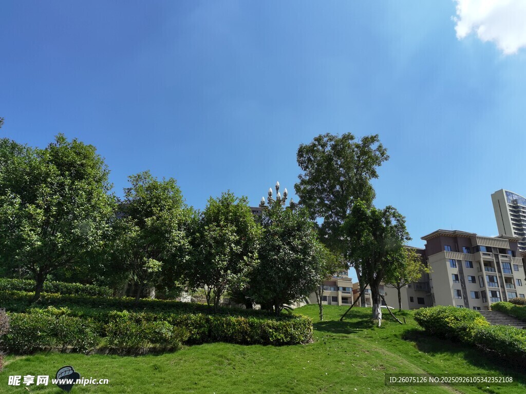 城市中的綠意盎然公園景致