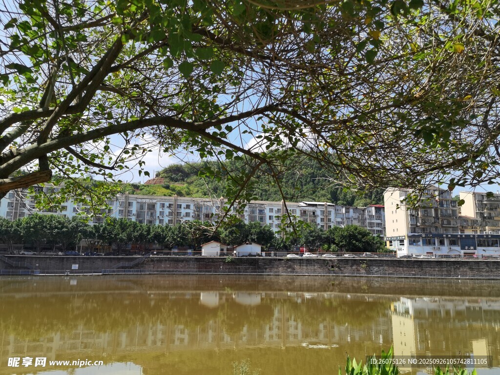 湖畔綠樹環(huán)繞的靜謐景致