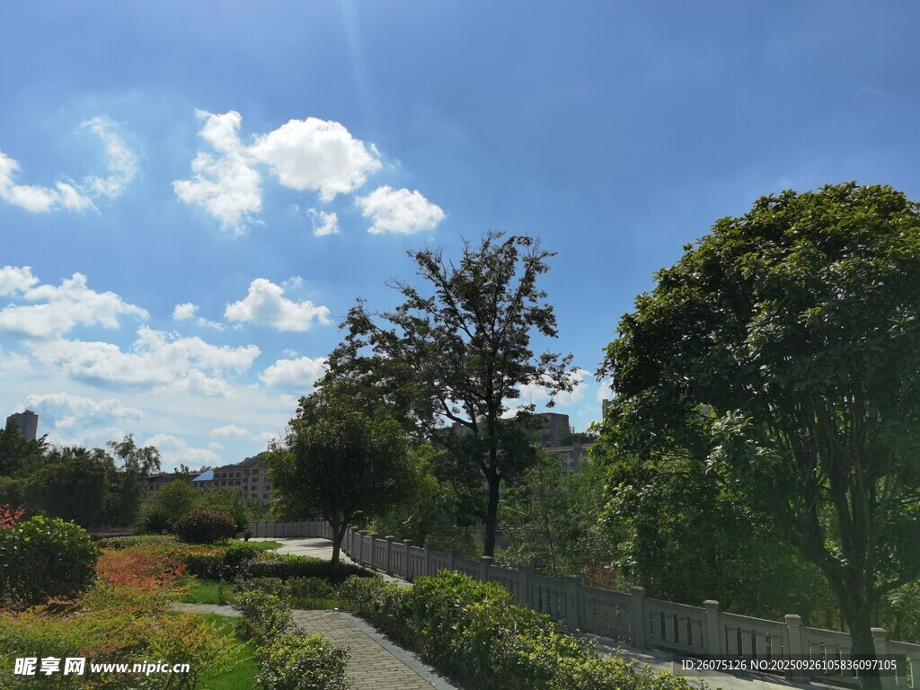 郊外小路旁的綠樹藍(lán)天