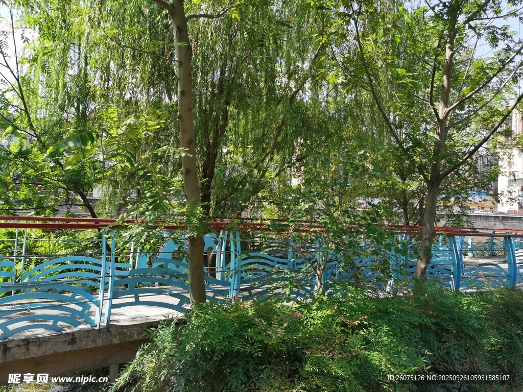 林間藍橋綠意盎然景致