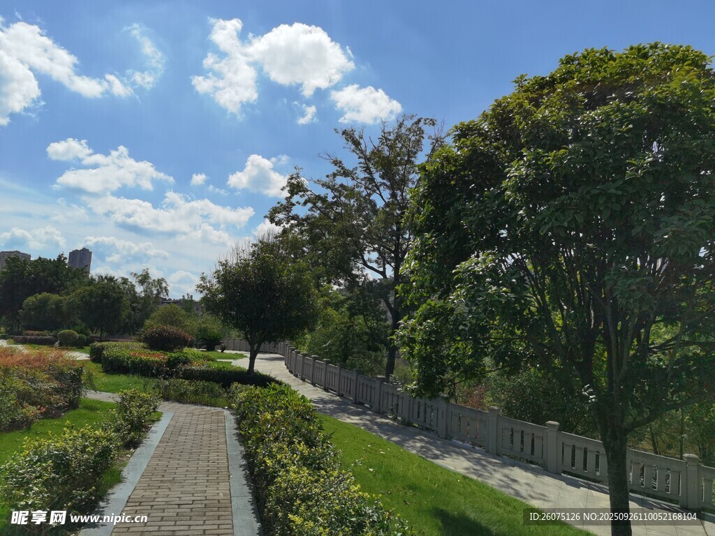 寧靜小路旁的綠意景致