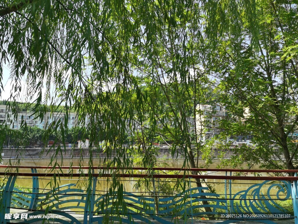 河畔垂柳下的休閑座椅