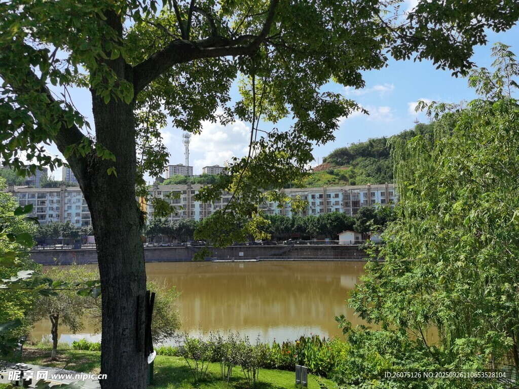 河畔綠樹環(huán)繞的美麗景致