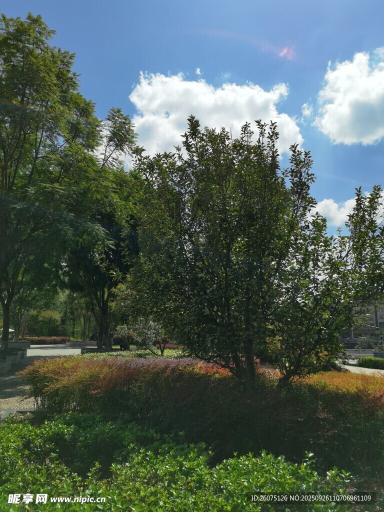 戶外綠樹(shù)藍(lán)天風(fēng)景圖