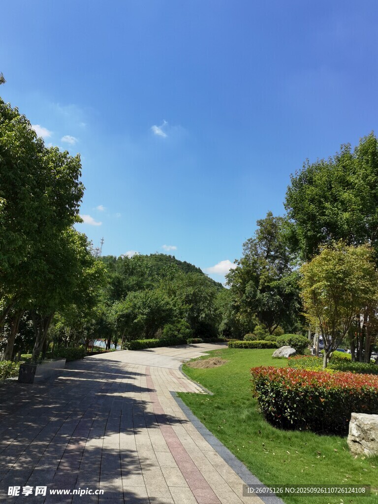 美麗林蔭小道景觀