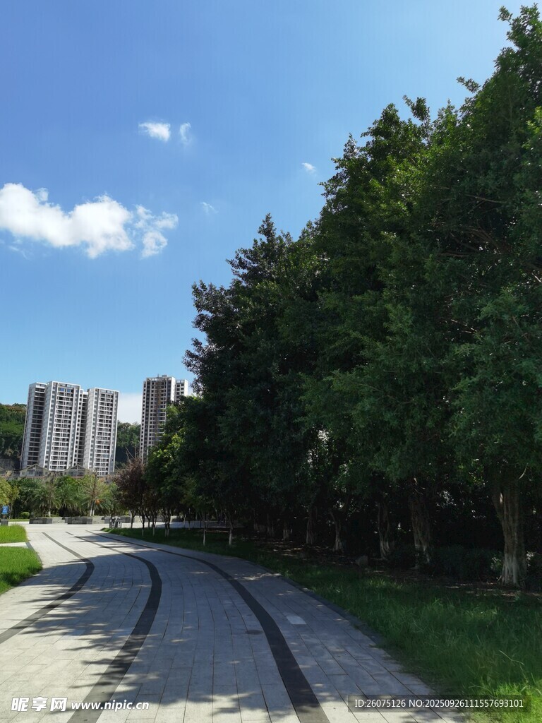 城市林蔭下的靜謐騎行道