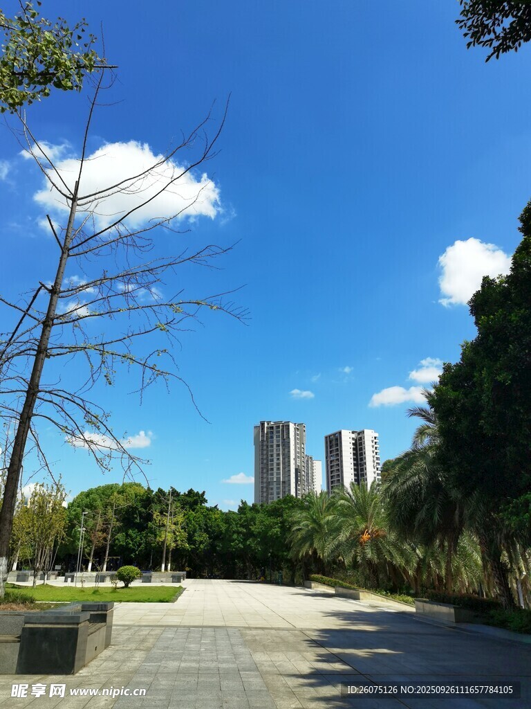 城市公園中的開闊景致