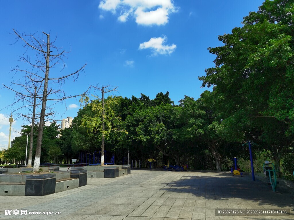 城市中寧靜的林蔭廣場