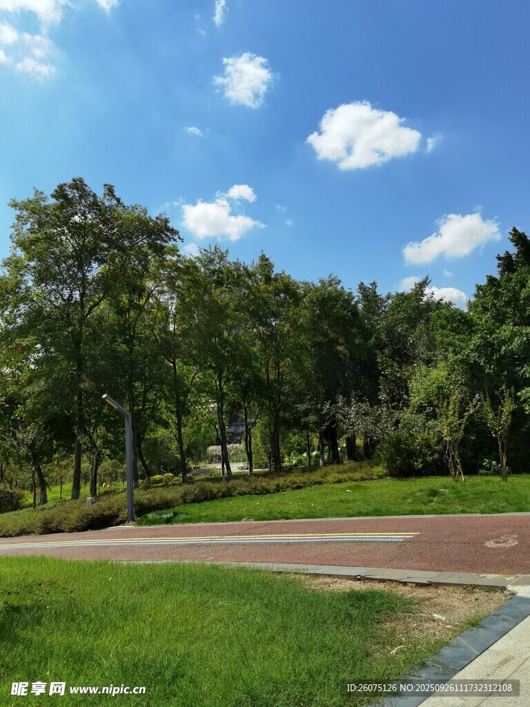 公園綠地風(fēng)景