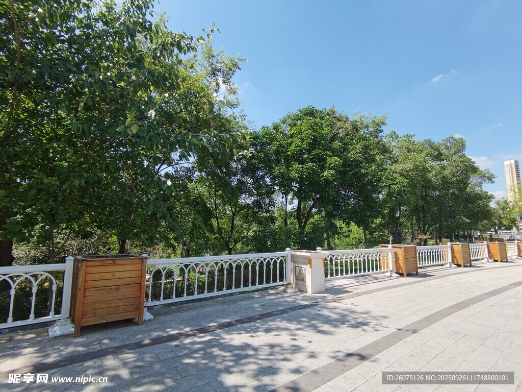 河畔護欄旁綠樹成蔭景致