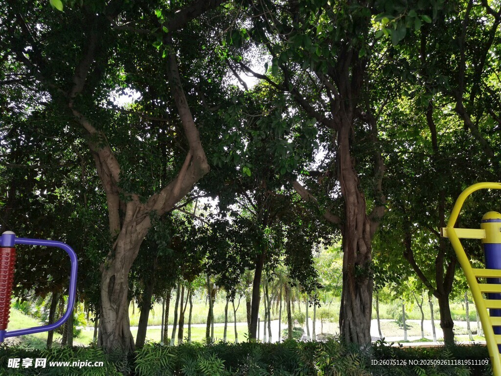 公園中的多彩兒童游樂(lè)設(shè)施
