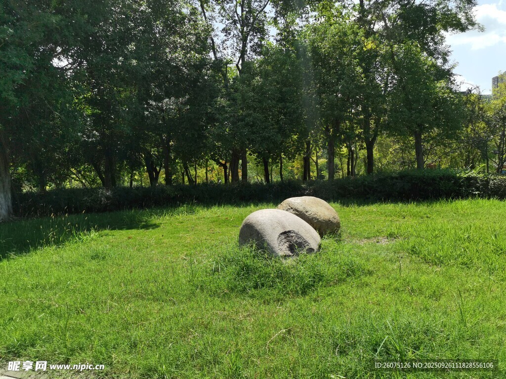 草地上的雕塑與綠植景觀