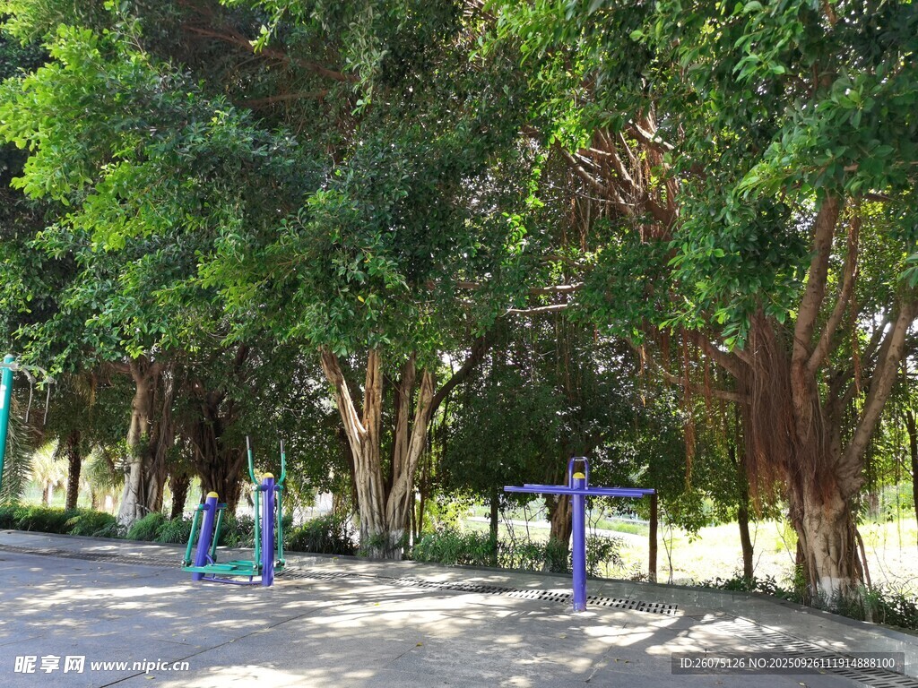 公園林蔭下的健身場(chǎng)景