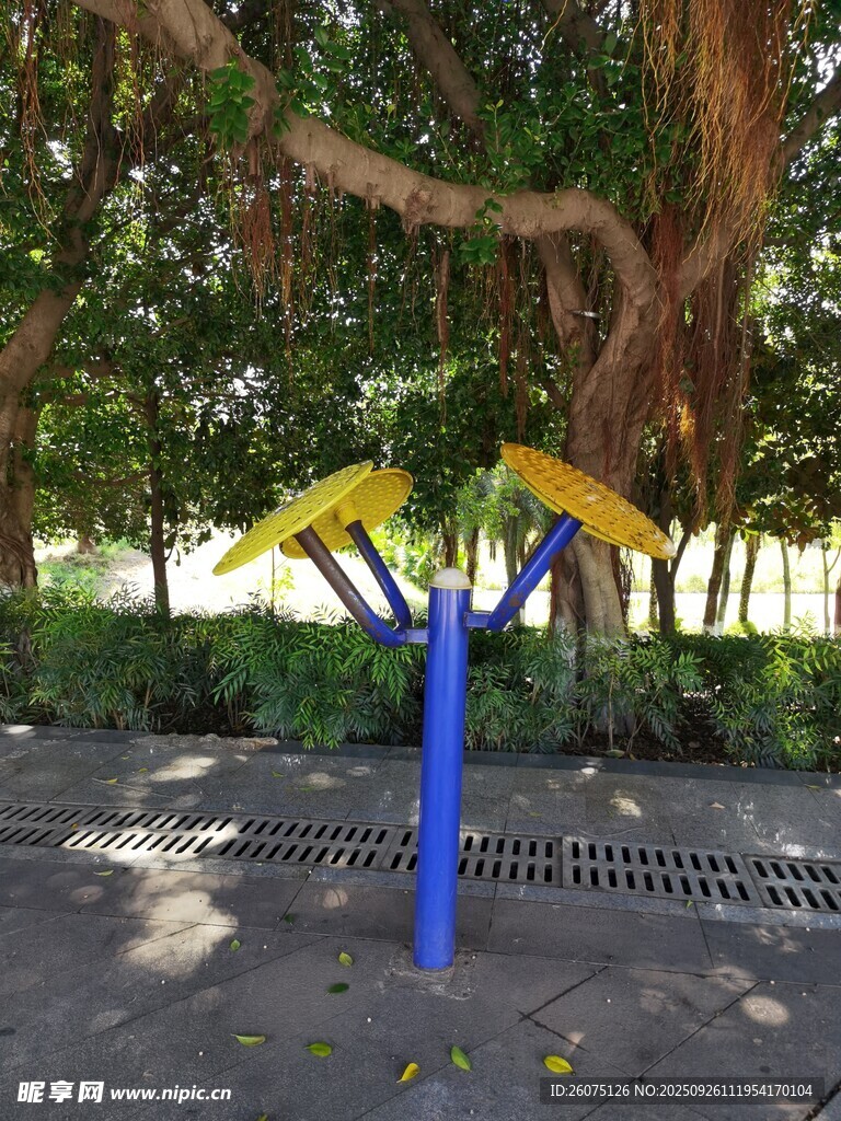 公園中的戶外健身器材