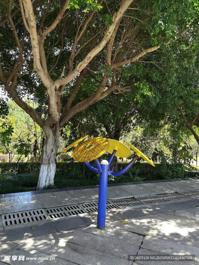 公園中的戶外健身器材