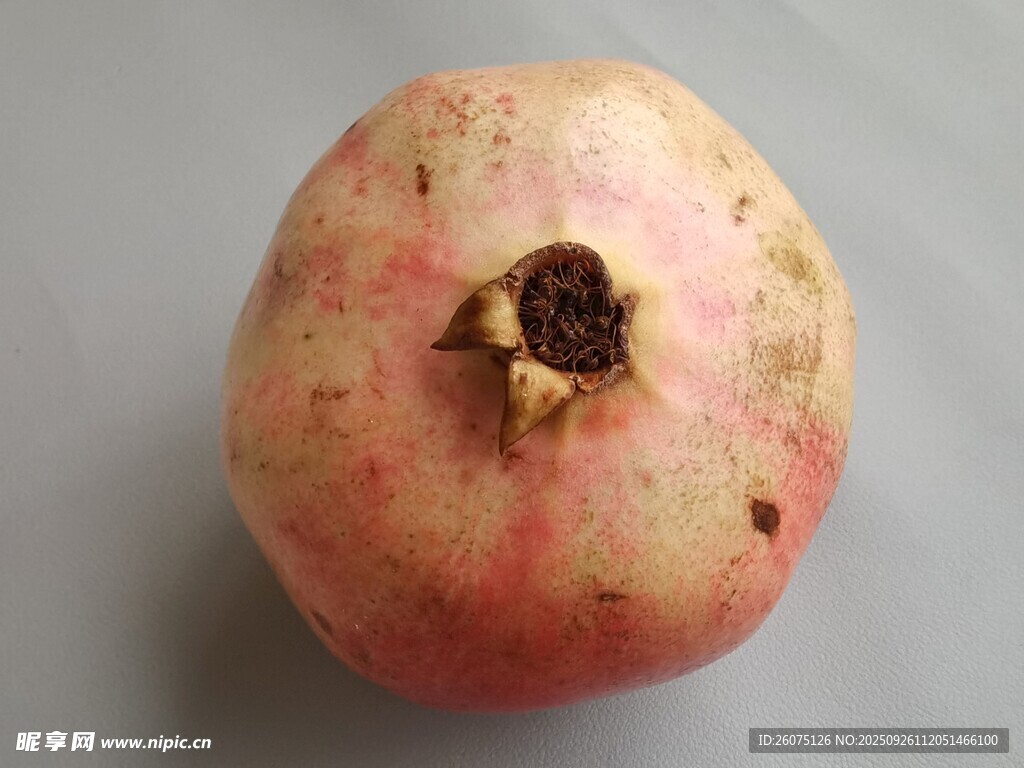 單個(gè)新鮮石榴特寫