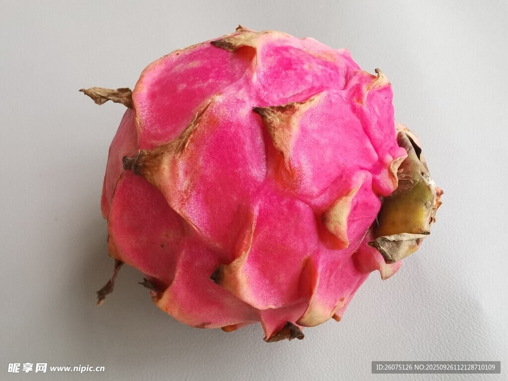 鮮艷火龍果特寫(xiě)
