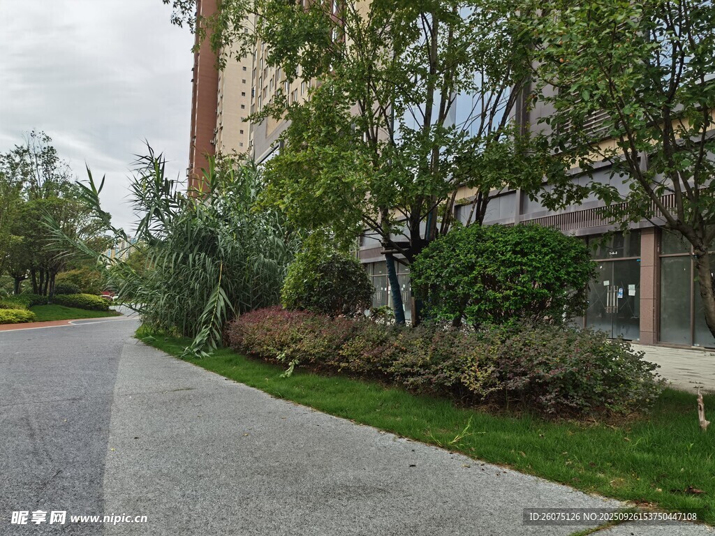 小區(qū)旁的綠植景觀道路