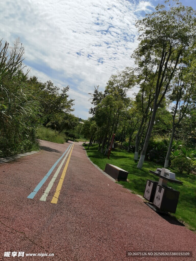 林間彩色騎行道風(fēng)景
