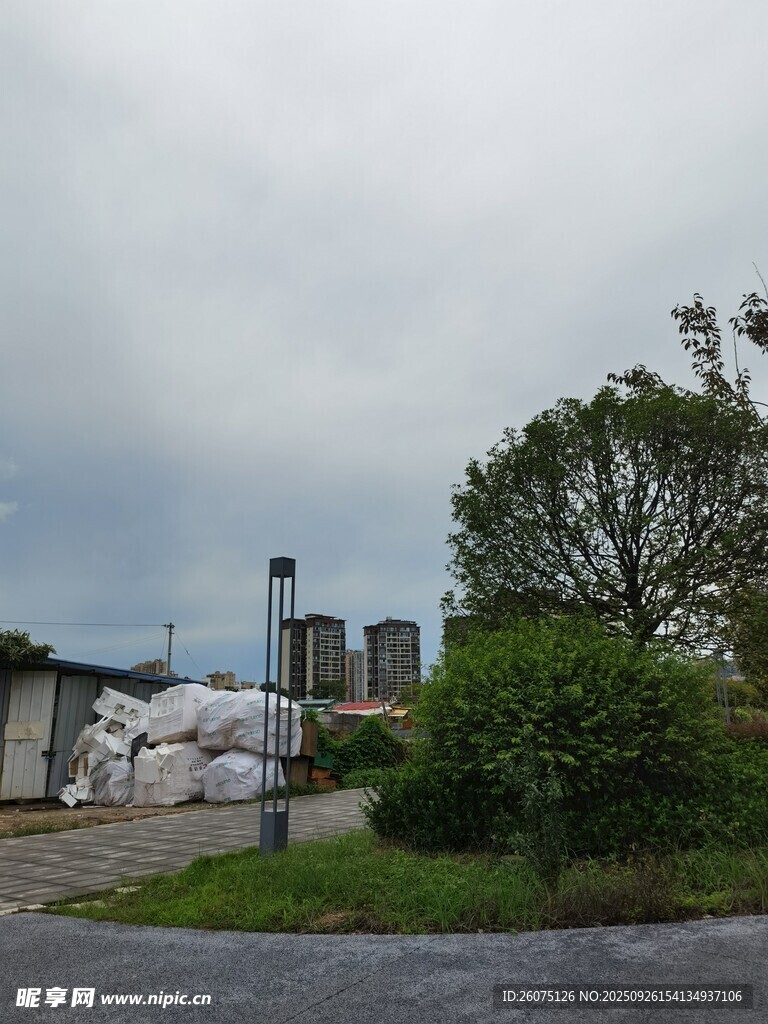 戶外場景中的綠植與建筑
