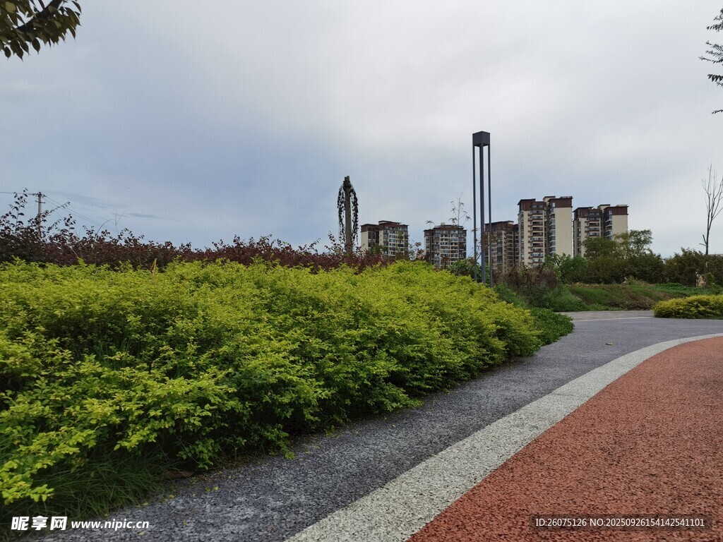 城市中的綠植步道景色