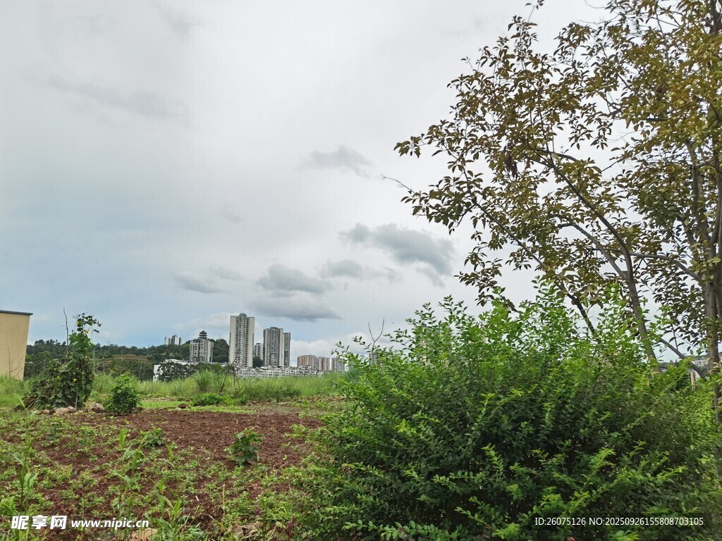 田園風光中的綠植與遠景