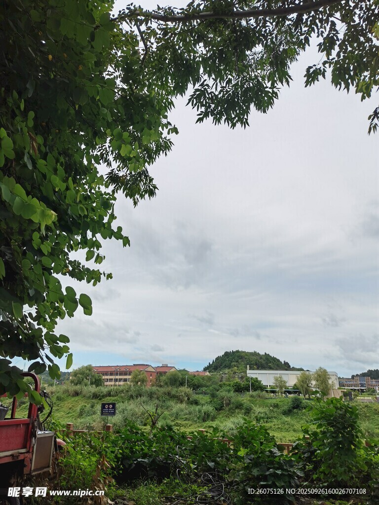 綠意盎然的自然景致