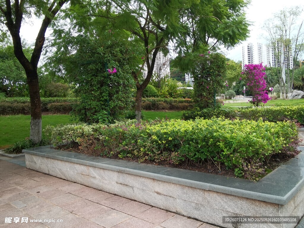 城市街邊綠植景觀