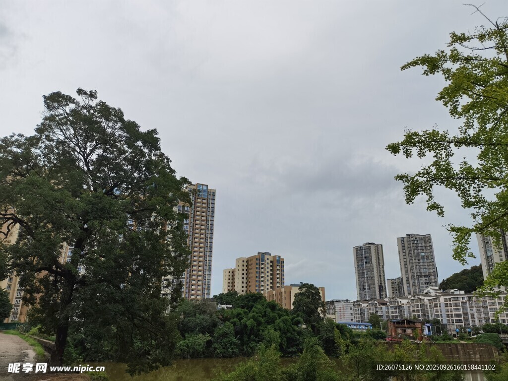 城市邊緣的綠樹(shù)與高樓