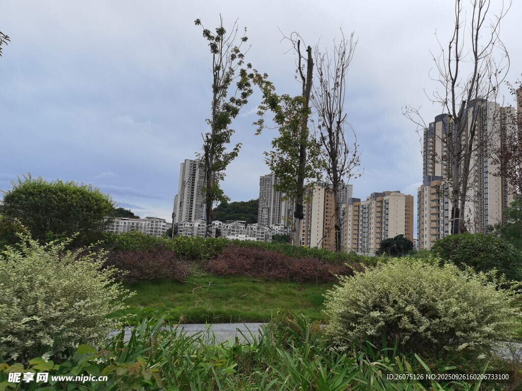 城市中的綠植景觀
