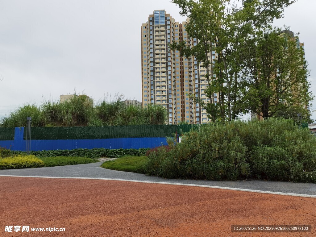 現(xiàn)代都市景觀中的綠植與建筑
