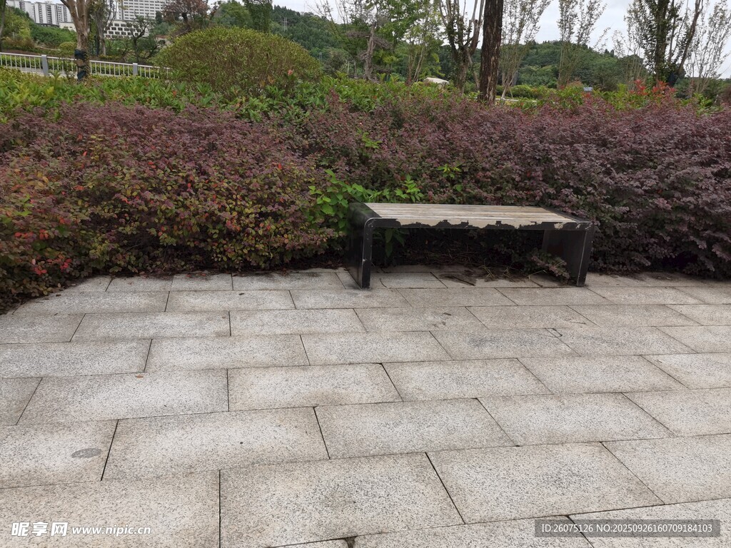 戶外石板地旁的綠植景觀
