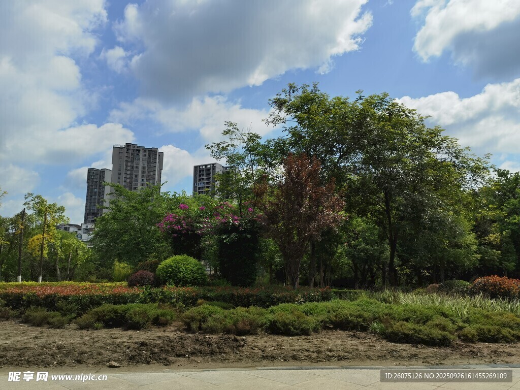 城市中的綠意景觀