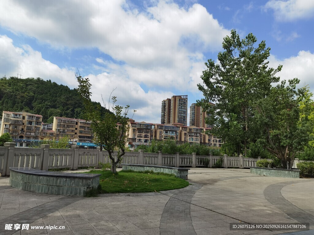 城市河畔景觀綠樹高樓