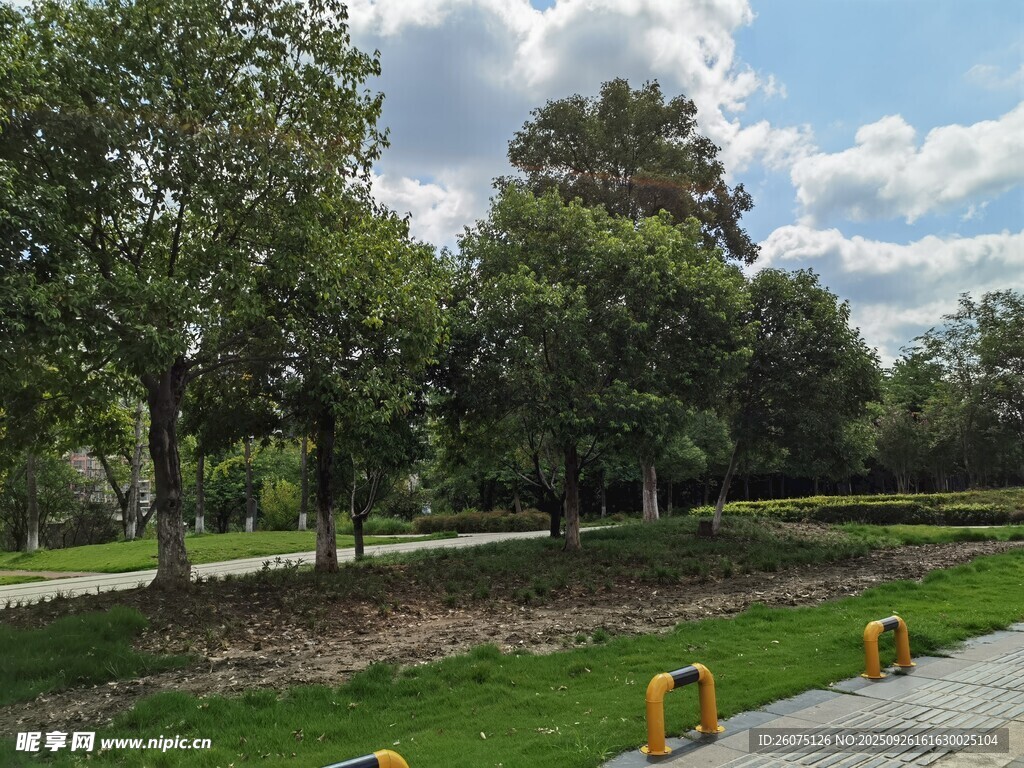 公園綠樹(shù)草地景觀