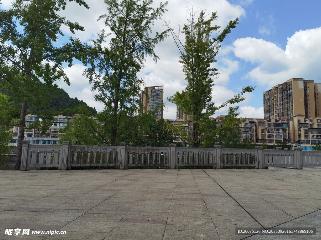 城市開闊廣場與綠樹景觀