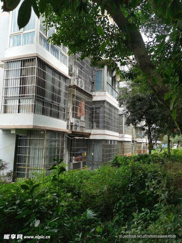 綠樹環(huán)繞的現(xiàn)代建筑