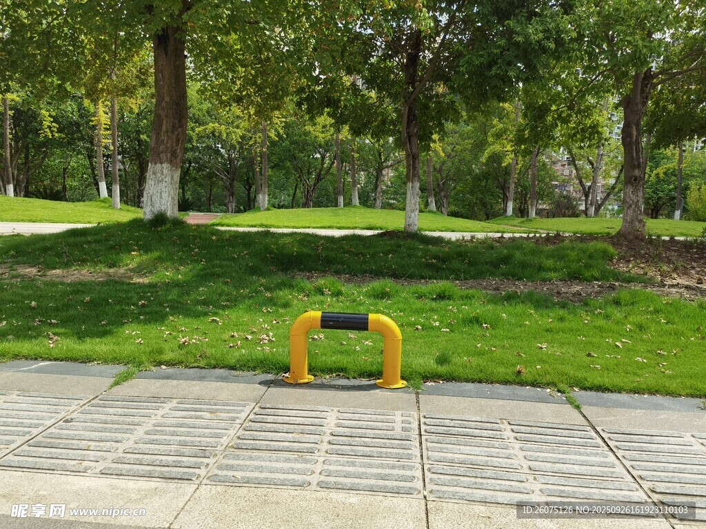 公園中的黃色健身器材