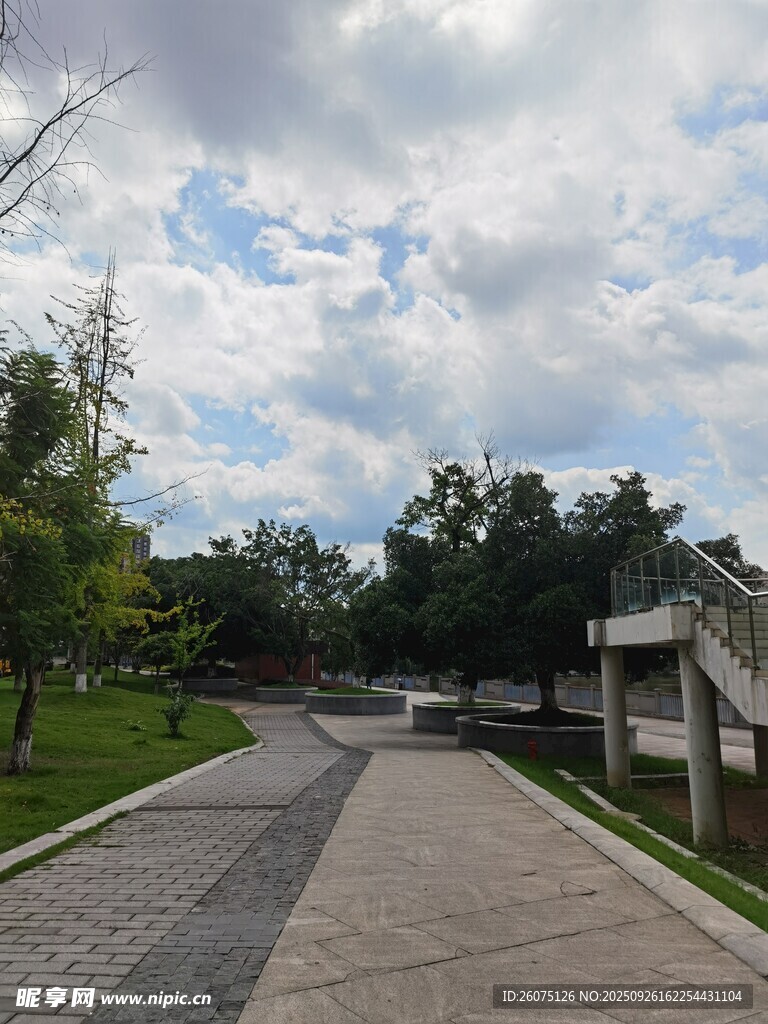 戶外寬闊道路旁綠植景觀