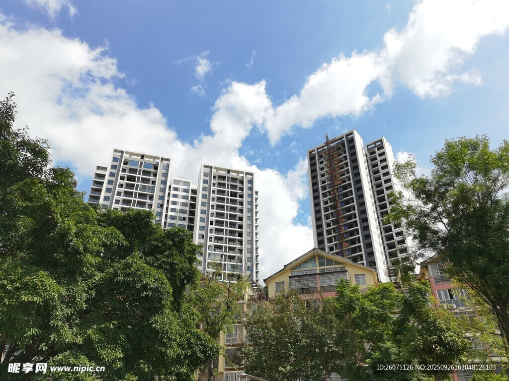 城市綠樹(shù)間的高樓景觀