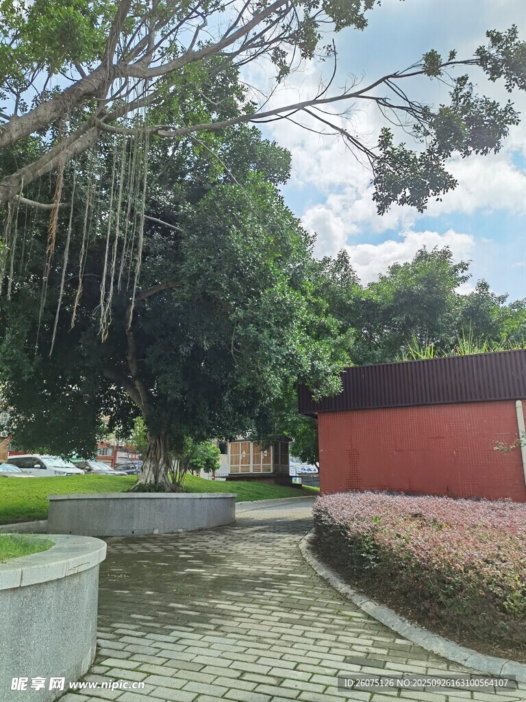 寧?kù)o校園一隅景觀