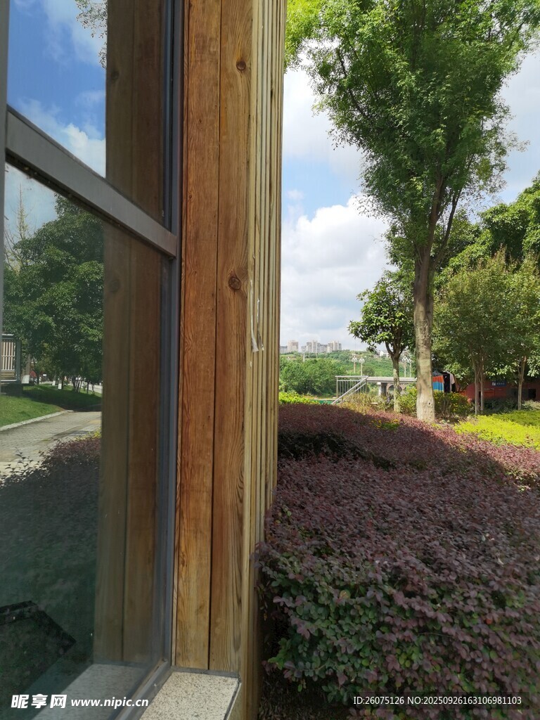 窗外綠意盎然的景致